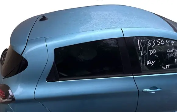 Renault Zoe Roof 