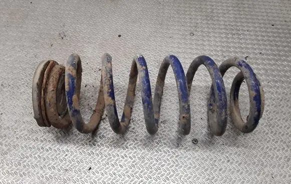 Rear coil spring