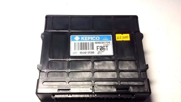 Hyundai Santa Fe Gearbox control unit/module 954403A380