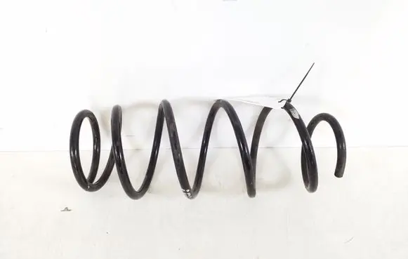 Front coil spring