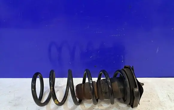 Volvo XC70 Rear coil spring 31300137
