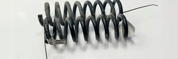 Dodge Charger Rear coil spring 05168889AC