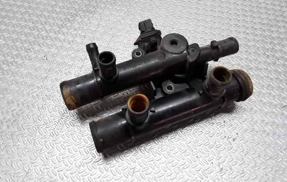 Thermostat/thermostat housing