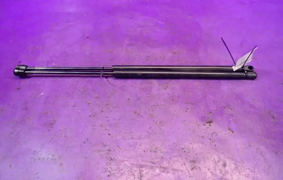 Renault Scenic I Tailgate strut 201108
