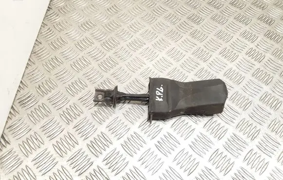 Volkswagen Cross Polo Rear door check strap stopper