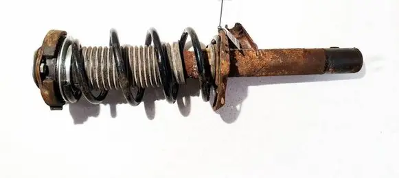 Volkswagen Golf V Front shock absorber/damper 