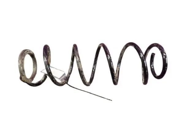 Rear coil spring