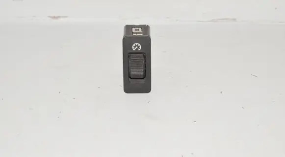 Panel lighting control switch