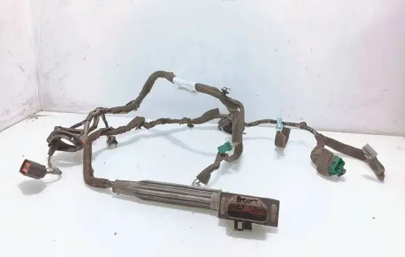 Front door wiring loom