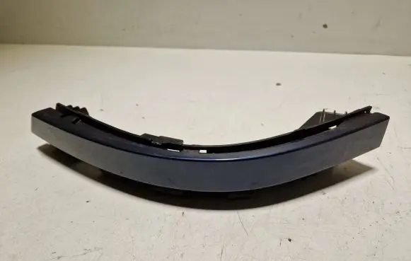 Rear/tail light trim molding