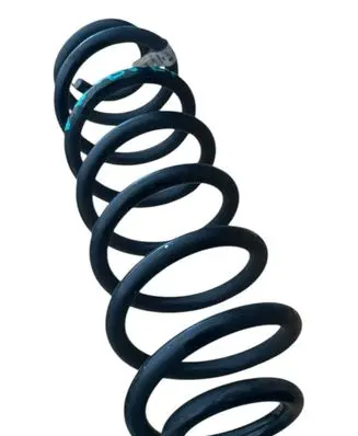 Rear coil spring