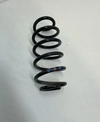 Rear coil spring