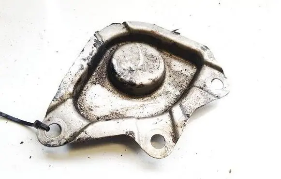 Volkswagen Transporter - Caravelle T5 Timing belt guard (cover) 070109153