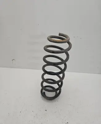 Volkswagen New Beetle Rear coil spring