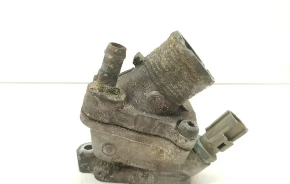 Thermostat/thermostat housing