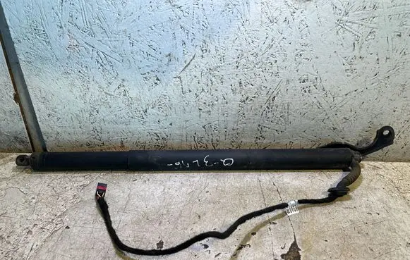 Tailgate/trunk strut/damper