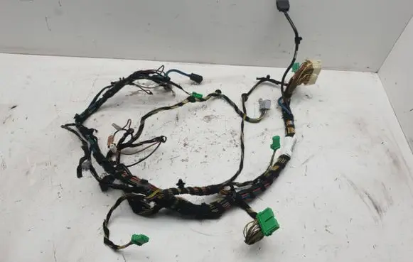 Land Rover Range Rover L322 Wiring harness AH4214B079EAA AH4214B079ZAA 1SSUE