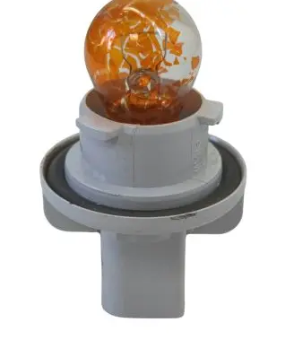 BMW 5 E39 Front indicator light 155833
