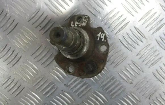 Seat Leon (1M) Rear wheel bearing hub 