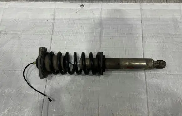 Maserati GranTurismo Rear shock absorber with coil spring 230030