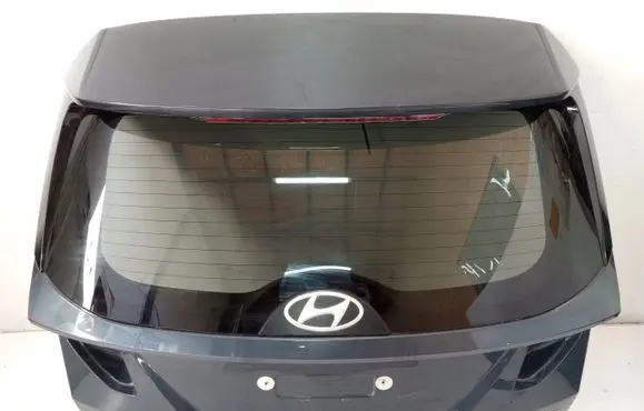 Hyundai H-1, Starex, Satellite Other interior part