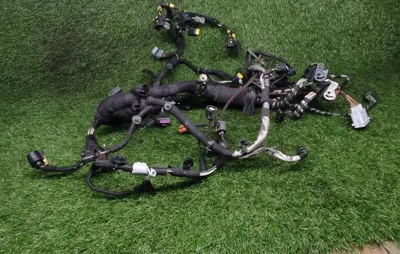 Land Rover Range Rover L322 Engine installation wiring loom