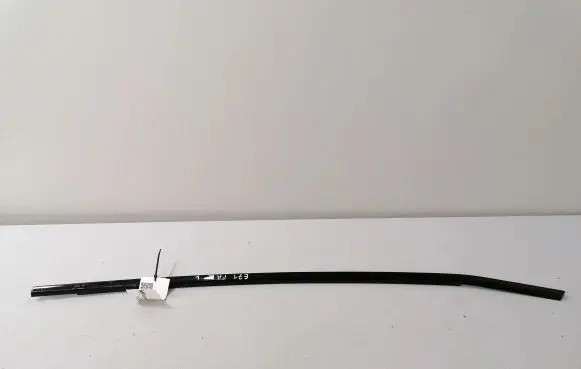 BMW X6 E71 Front door glass trim molding 1234567
