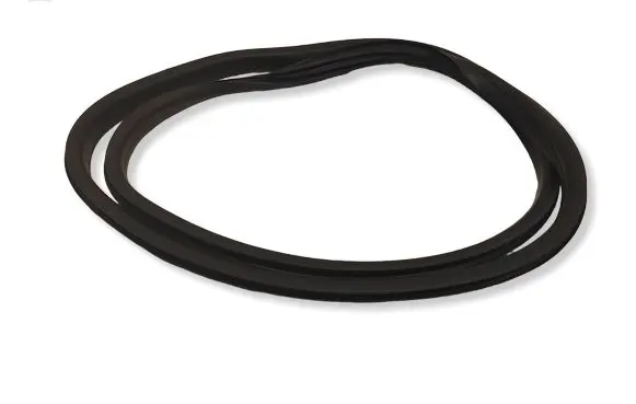 Renault Megane IV Front door rubber seal 