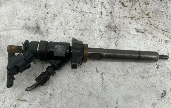 Citroen C3 Fuel injector 0445110311 620033