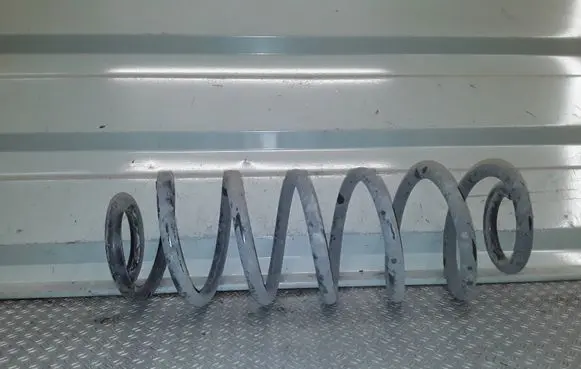 Volkswagen Golf VI Rear coil spring