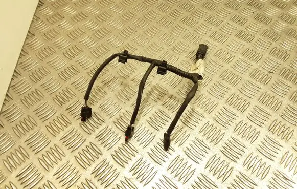 Ford Focus Fuel injector wires CM5G9F666BC