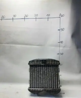 Smart ForTwo I Intercooler radiator 0003127V008