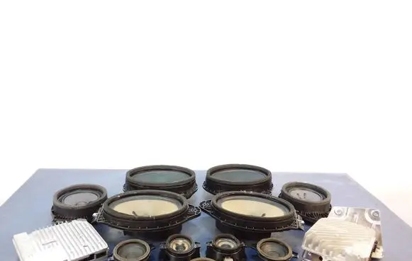 Cadillac CTS Subwoofer speaker