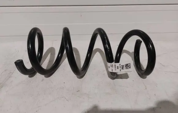 Ford Mustang VII Rear coil spring PR3C5560EB