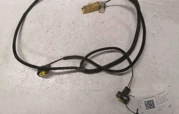 Renault Scenic II - Grand scenic II Other wiring loom 8200124784