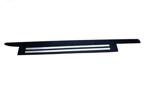 Audi A4 S4 B7 8E 8H Front sill trim cover 8H0853491