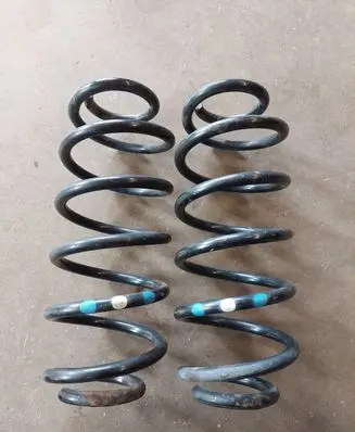 Rear coil spring