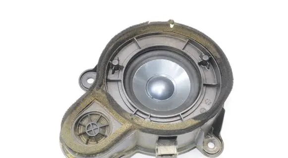 Mercedes-Benz CL C216 Rear door speaker A2168200602