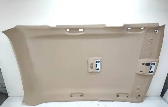 BMW X1 E84 Headlining 2991790