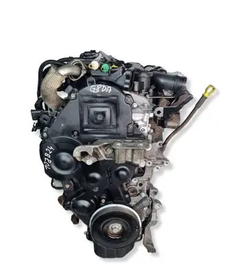 Ford Focus Engine swap G8DA