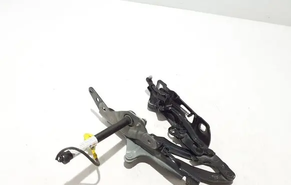 Porsche Panamera (971) Engine bonnet/hood hinges 971823612