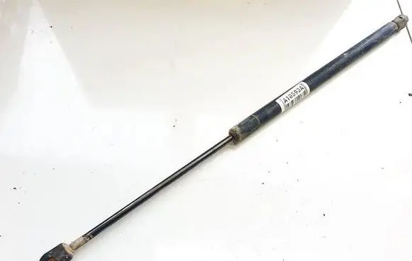 Tailgate/trunk strut/damper