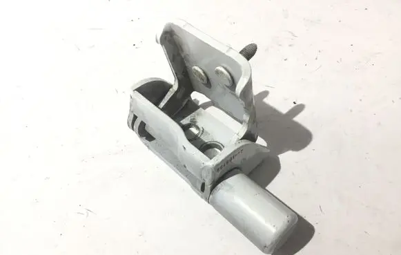 Renault Zoe Rear door lower hinge 864601
