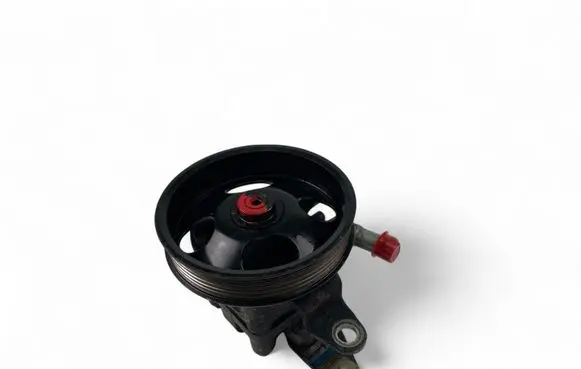 Nissan X-Trail T30 Power steering pump 491108H305