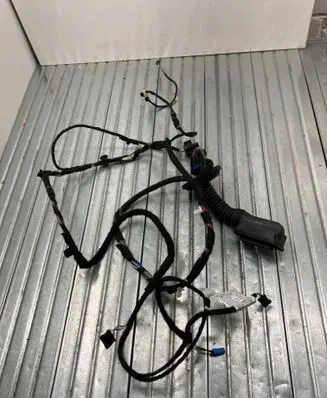 Rear door wiring loom