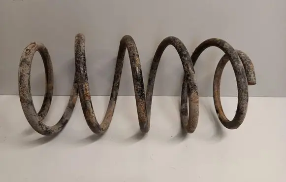 Front coil spring