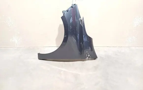 Renault Zoe Fender 631018491R