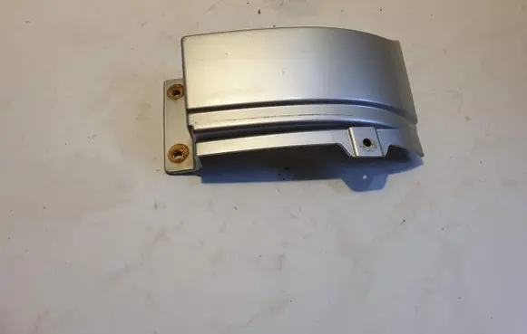 Rear/tail light trim molding