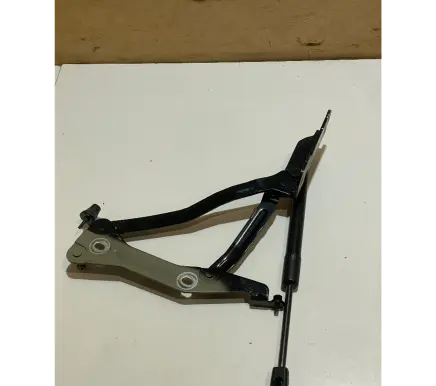 Ford Mustang VI Tailgate/trunk/boot hinge FR3B6342701AD