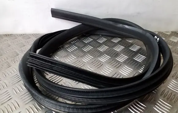 Ford Focus Front door rubber seal
